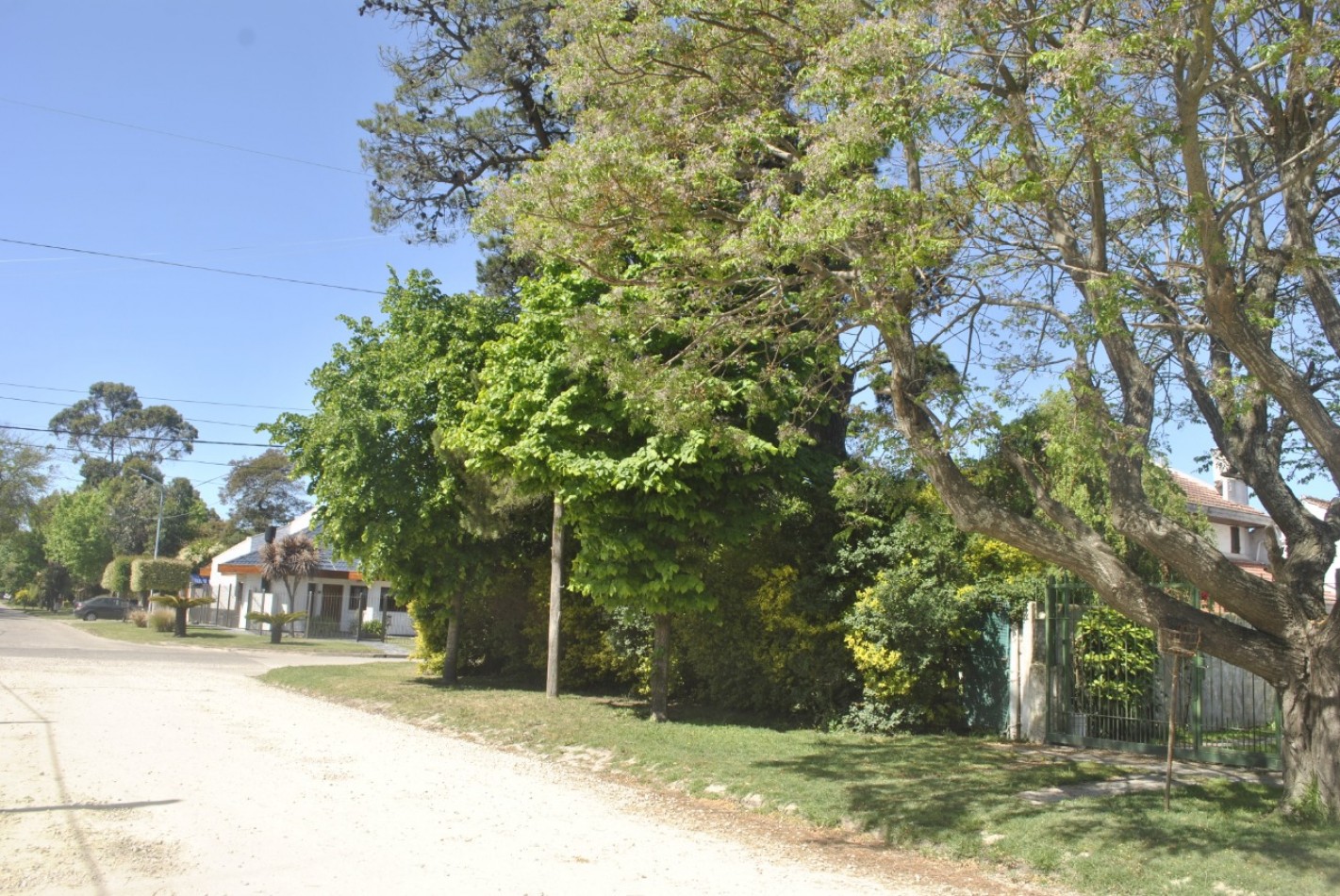 **TERRENO EN VENTA EN LOS PINARES**