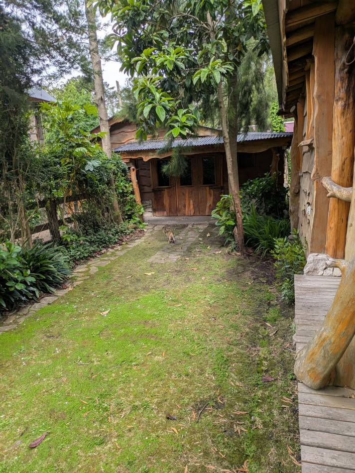 **HERMOSA CABAÑA 4 AMBIENTES EN VENTA EN BOSQUE PERALTA RAMOS**