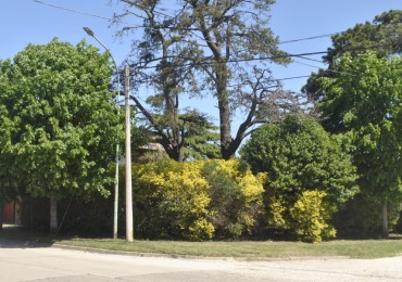 **TERRENO EN VENTA EN LOS PINARES**